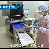 全自動蔬菜包裝機(jī)